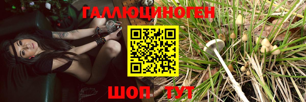 Советский  купить наркотик  Вход с VPN  Псилоцибиновые грибы MAGIC MUSHROOMS 